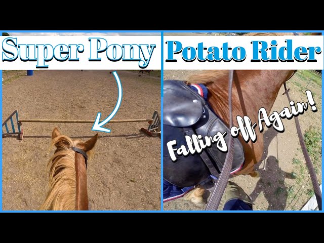 SUPER PONY, POTATO RIDER | Falling off Again! | Helmet Cam