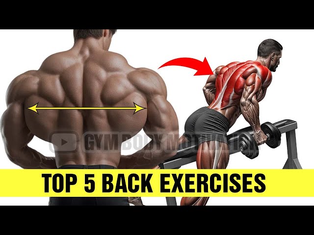 Top 5 Exercises For Increasing Back Mass