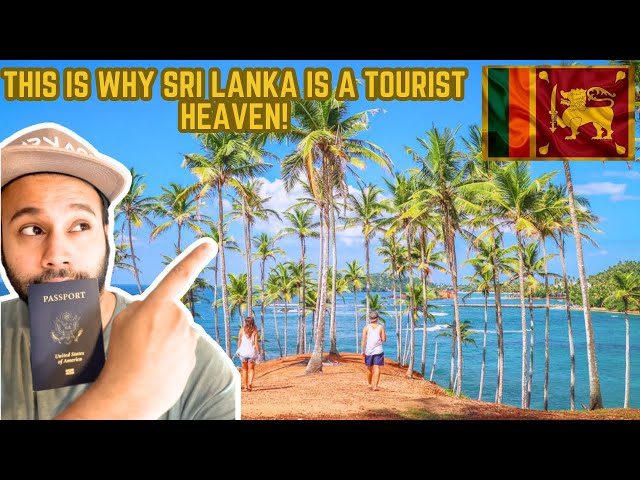 30 Days in Paradise | Sri Lanka Travel Vlog 2023 🇱🇰 #srilanka #travelvlog