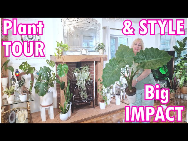 25+ Plant Styling TOUR 2024 | Easy Care Plants For Big IMPACT Plant Styling for you