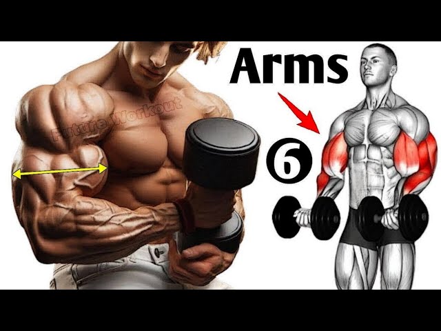 6 Biceps And Triceps Exercises to Get Giant Arms