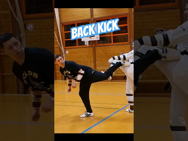 Taekwondo Back Kick