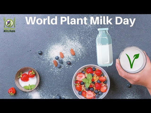 World Plant Milk Day - Almond Milk Recipe, Coconut Milk Recipe #plantbased