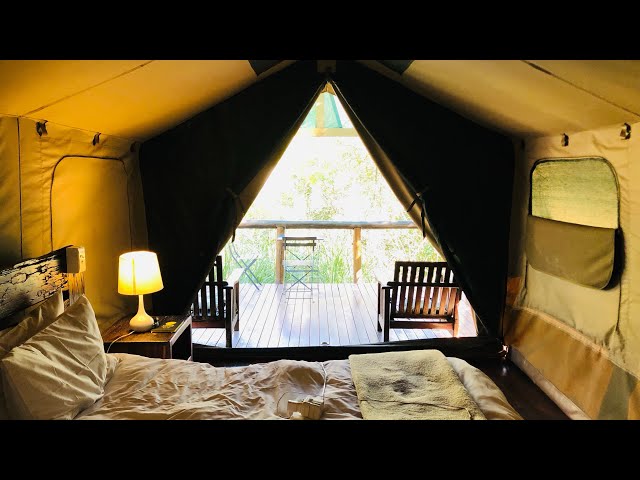 I Found A Hidden Lodge In Johannesburg West,South Africa!!