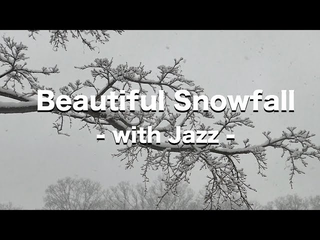 Relaxing Snowfall | Beautiful Falling Heavy Snow |  Winter Jazz Music