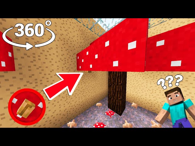 Can You find the BUTTON in 360° - Minecraft [VR] Video