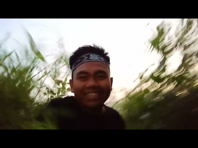 JALAN-JALAN KE BUKIT DI PAGI DAN KETEMU BURUNG LANGKAH?????