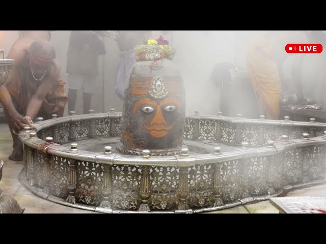 Shiv Tandav Stotram | Bhasma Aarti Mahakaleshwar Ujjain Madhya Pradesh #ujjain #mahakaleshwar #song