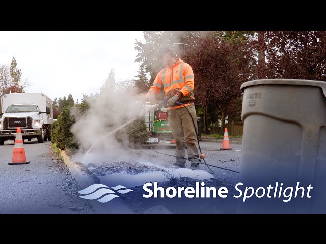 What's that foam along Aurora? The Shoreline grounds crew tackles the weeds - Shoreline Spotlight