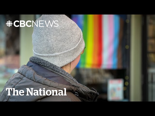 Trans Americans look to Canada for safety after Trump's re-election