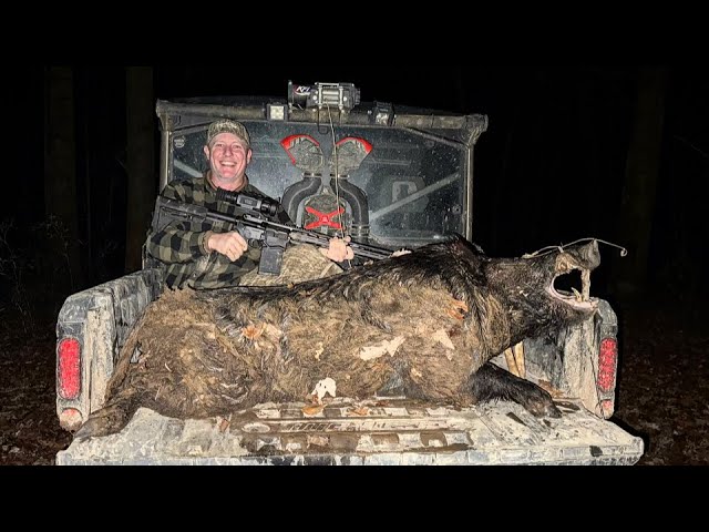 Thermal hunting BIG boar before I head to Vegas. Fast hunt.