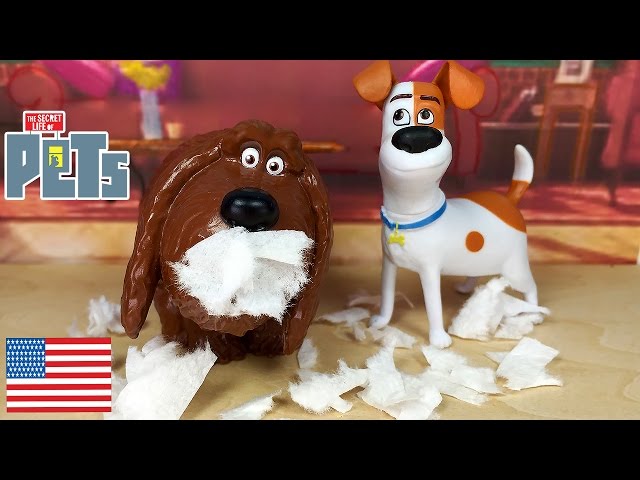 Secret Life of Pets Dukes Makes a mess in the Apartment Should Kaity call the Shelter?