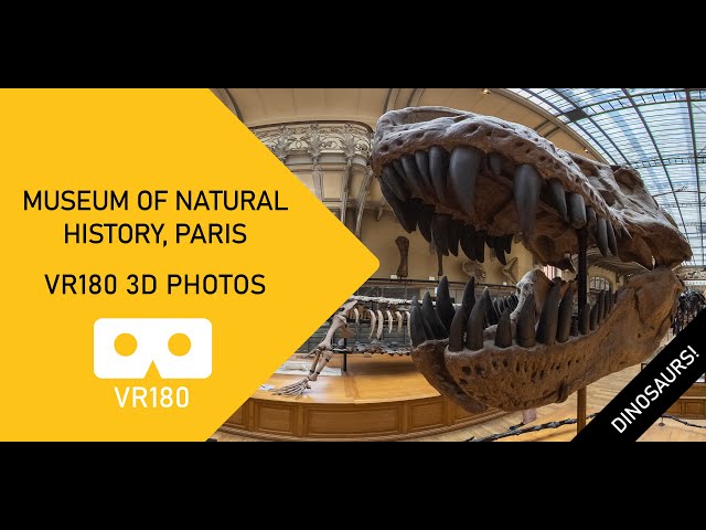 National Museum Of Natural History Paris 3D photographs VR180 Canon RF 5.2mm F2.8L Dual Fisheye lens