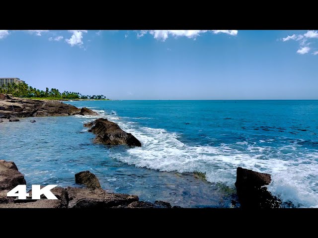 Gentle Sounds of Waves in Hawaiian Paradise! ⛱️🏝️ #relaxingoceansounds #hawaii