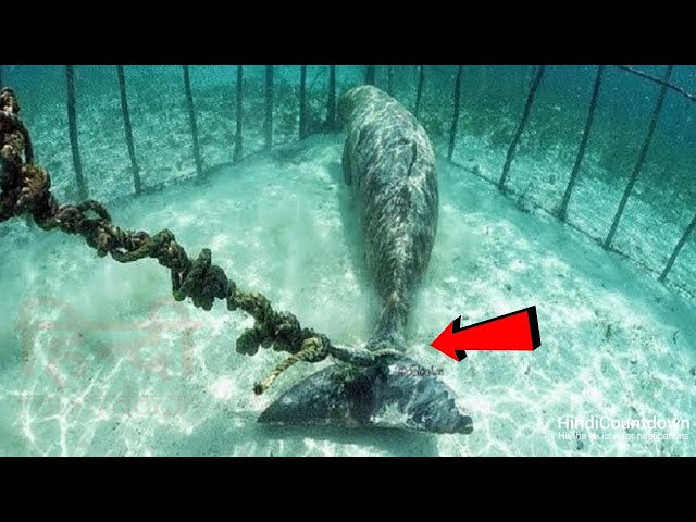 9 Cosas Misteriosas Encontradas en Las Profundidades Por Buzos 😨