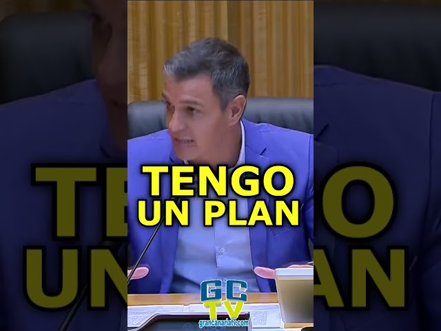 "Un plan para defender la información veraz" Pedro Sánchez #pp #vox #psoe #sumar