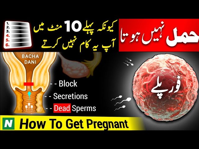 Jaldi Hamal Kaise Hota he 🚨 Humbistari Ka tarika | Pregnancy Tips to Get Pregnant Fast