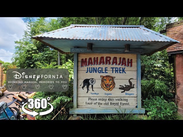 Maharajah Jungle Trek - Disneys Animal Kingdom - 360 Degree 4K Video