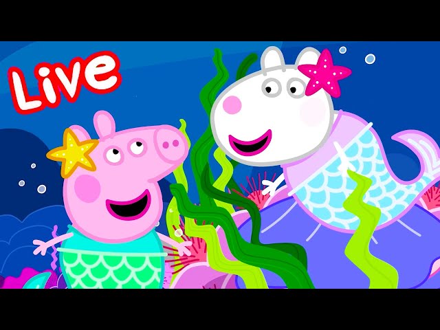 Les histoires de Peppa Pig 🐽 Épisodes Complets 🔴 Peppa Pig Français LIVE