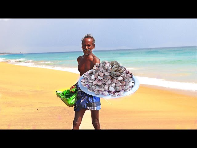 SEA OYSTER HUNTING | Cooking Sea Oyster Recipe | Prepare by KARUPPASAMI Thata | KGF