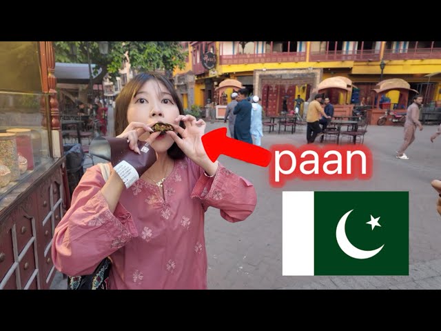 What is it like to travel in PAKISTAN?🇰🇷🇵🇰