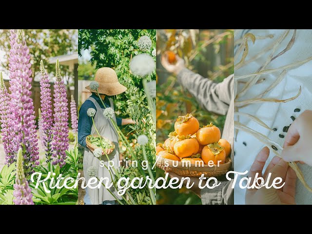 From kitchen garden to table: Spring/Summer - California Seasonal Cooking with backyard harvest