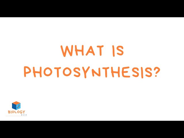 What is Photosynthesis (KS3 Respiration & Photosynthesis #6)