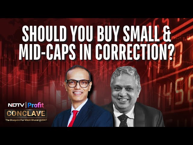 Ridham Desai On S Naren's Take On Small & Mid-Cap Stocks: 'Correction Has Evened Out...'