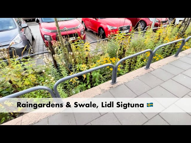 Raingarden and Swale Sigtuna