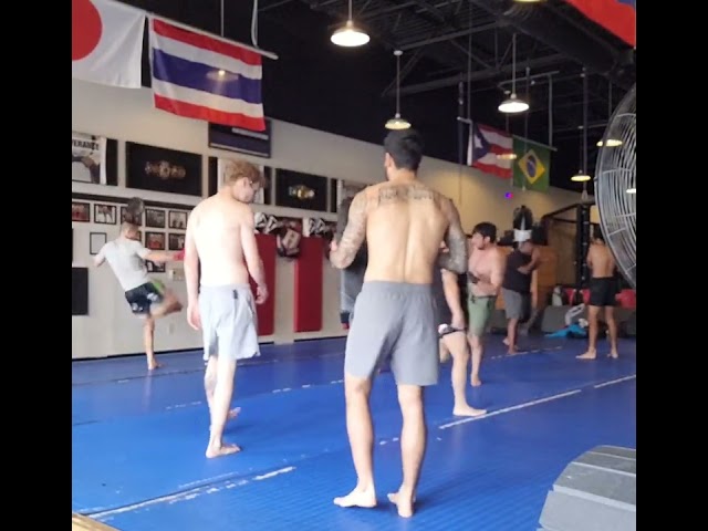 muay thai pad work drill training: roundhouse and switch kick