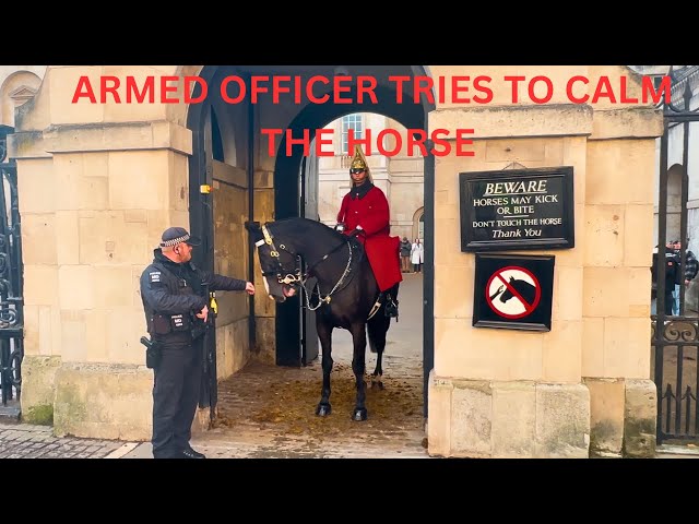 SCARY MOMENT KING’S GUARD HORSE GETS SCARED OF FLAGS AND SIRENS