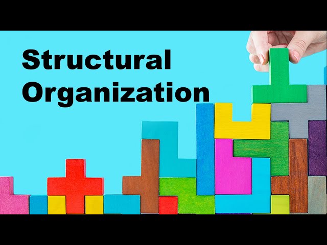 Structural organization of human body | levels of organization | body systems in Bangla