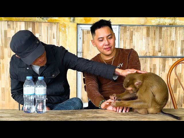 Sad story! Bad weather prevented Dad from visiting Monkey Kaka