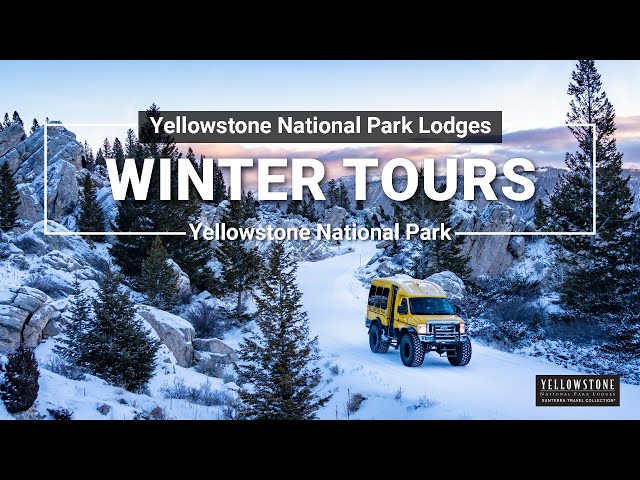 Winter Tours in Yellowstone National Park