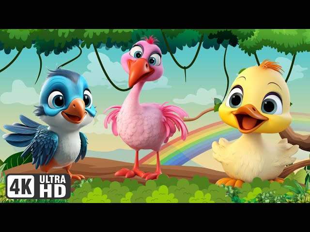 Cute Animal Sounds: Flamingo, Kingfisher, Duck, Chicken, Birds - Animal Videos