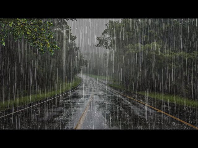 Lluvia Relajante Para Dormir en 5 Minutos - Sonido de Lluvia y Truenos en el Selva Tropica - ASMR