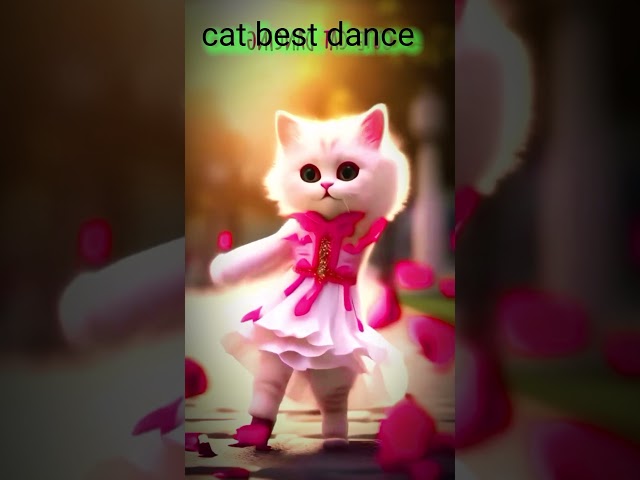 Cat Dance video 🐈// #shorts #shortvideo #catdancing #mrcat