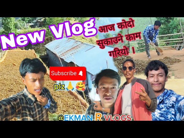 New vlog 🥰 Ghar tira kodo sukaune Kam gardai xu hai moh 😜 #keepsuppporting #keepwatching #work 🥰🙏🇳🇵🤩