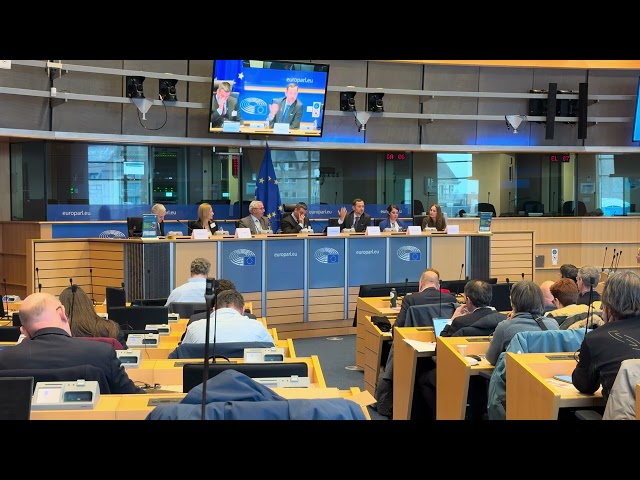 Geology for a Safe, Sustainable and Secure Europe: Afternoon roundtable 1