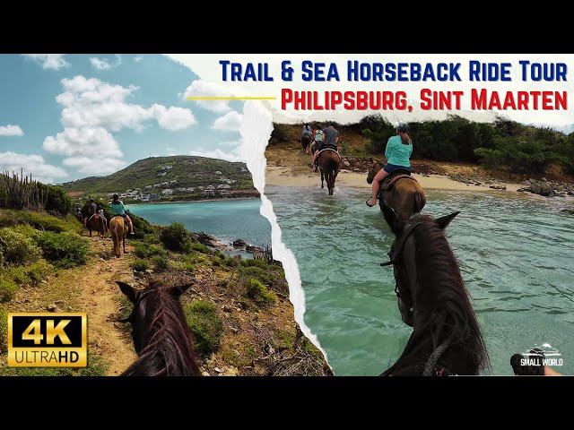 Philipsburg, Sint Maarten | Trail & Sea Horseback Ride Shore Excursion - Full Tour (with captions)