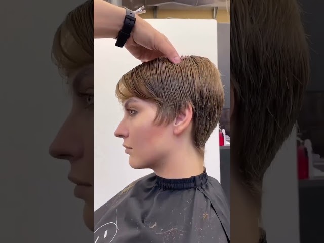 How To Cut Pixie Step By Step