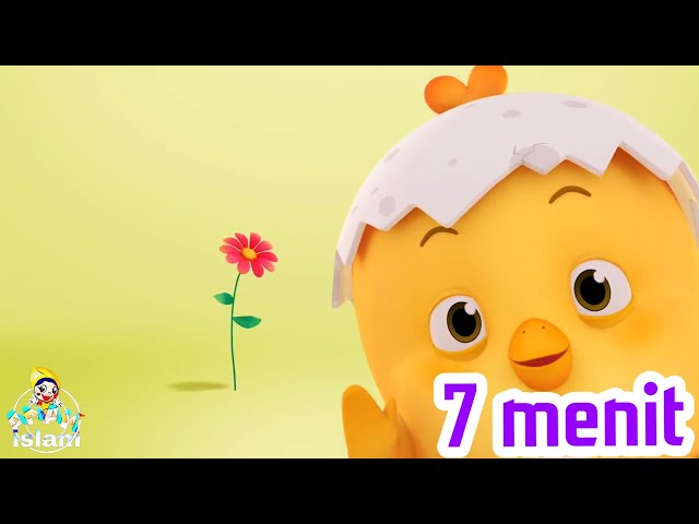 Kartun anak | como  Si anak ayam lucu bahasa indonesia | Episode 1