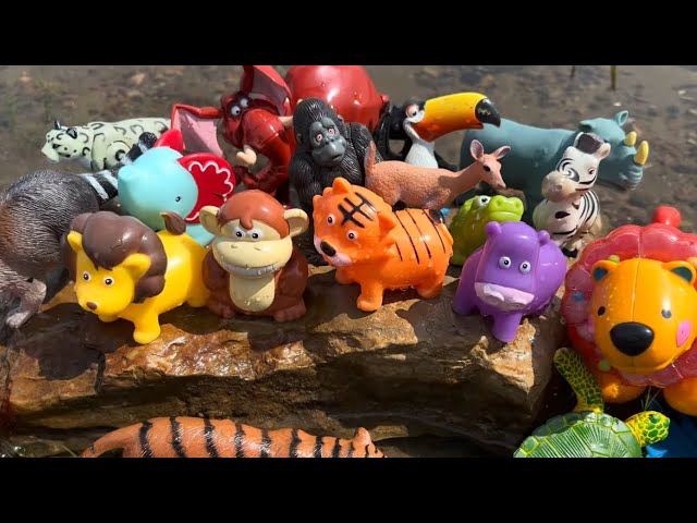 Wild Zoo Animal Toys Being Shown in Outdoors