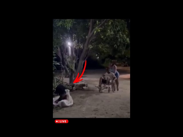 bhoot prank l Prank Video l new  #funny​ #youtubeshorts​ #trending​ #tlive