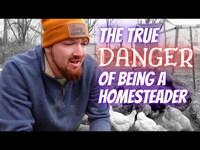 The #1 Danger Of Homesteading (don't make our mistake)