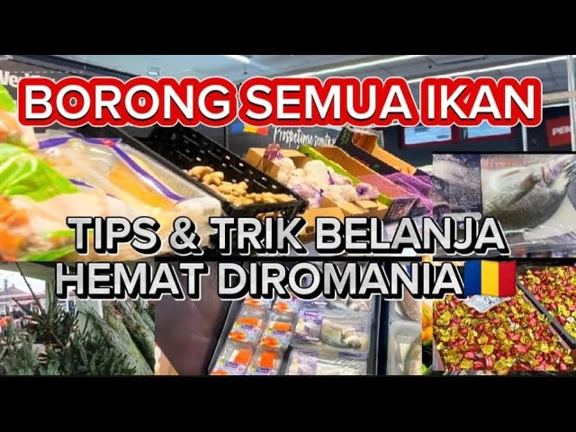 CEK HARGA SEAFOOD! DIROMANIA IKAN INI COCOK DIBUAT EMPEK2 PALEMBANG! TIPS & TRIK BELANJA HEMAT🇷🇴