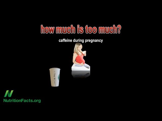 Caffeine During Pregnancy