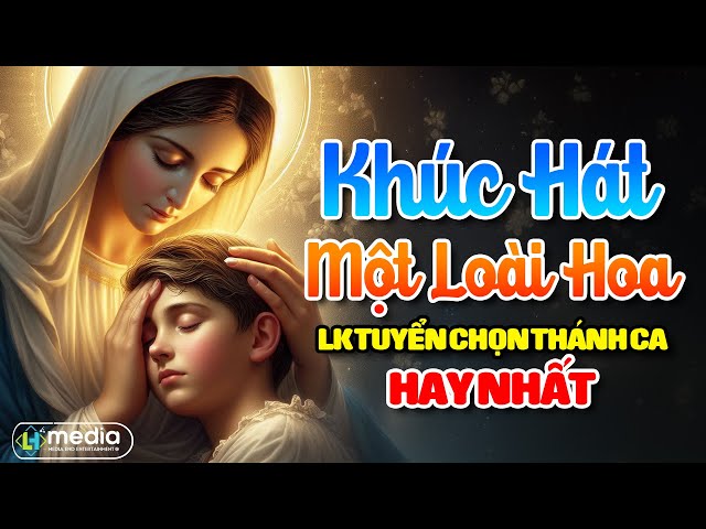 ✝️Album Liên Khúc Thánh Ca | Khúc Hát Một Loài Hoa, Bàn Tay Yêu Thương | LK Thánh Ca Cầu Nguyện 2025