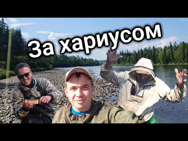 ХАРИУС как на ладони! Рыбацкий рай на реке Окунайка.