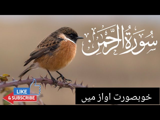 Surah Ar-Rahman سورة الرحمن  Full With Arabic |Beautiful recitation @Anas world Live Stream